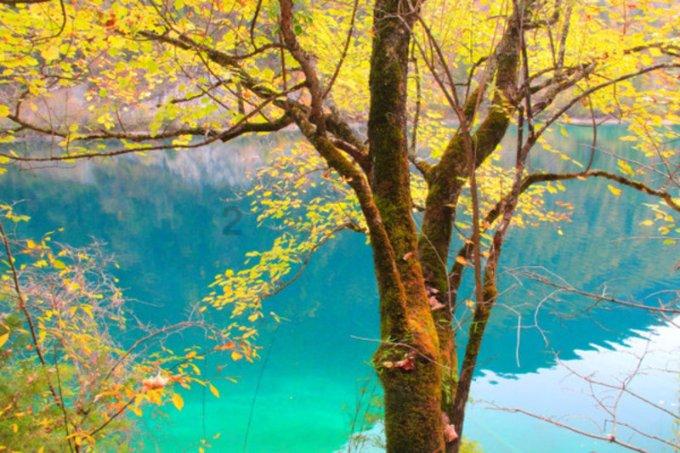 未来7天，运势暴涨，事业一飞冲天，人生幸福指数攀升的3个星座