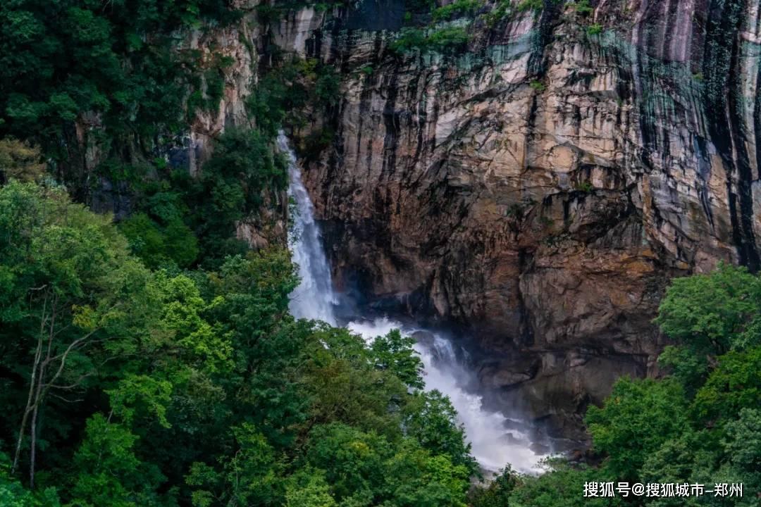 逗小猴开心系列194